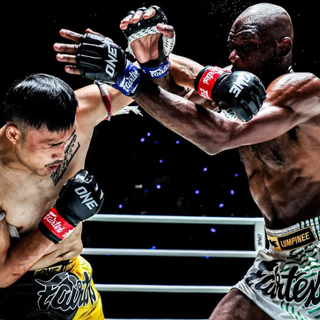 What Makes Muay Thai Shorts Ideal for High-Intensity Training?