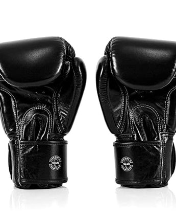 Fairtex BGV1 ONE Muay Thai Boxing Sparring Gloves - Fairtex Store