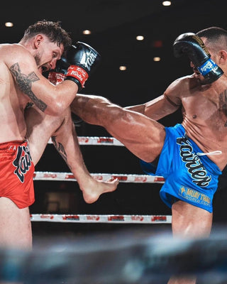 Fairtex Muay Thai Pro Gloves