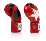 Fairtex Nation BGV1 Muay Thai Boxing Glove - Fairtex Store