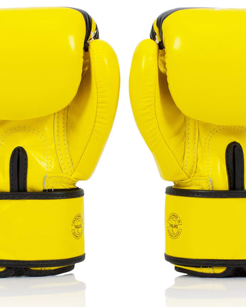 Fairtex Nation BGV1 Muay Thai Boxing Glove - Fairtex Store